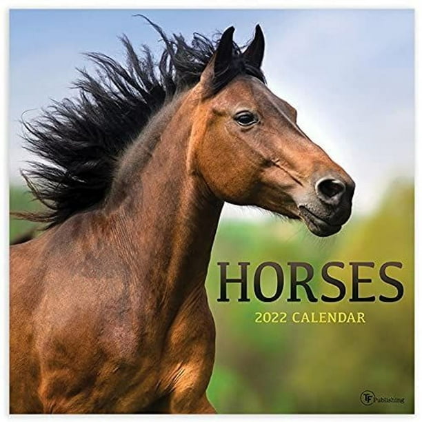 Willow Creek Paint Horses 2020 Wall Calendar 18 Months 12"X12" w